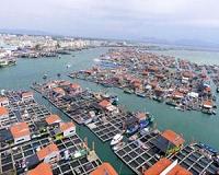 China's aquaculture sector could rebalance global fish supplies