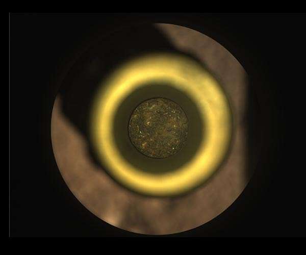 Mars rocks collected by Perseverance boost case for ancient life