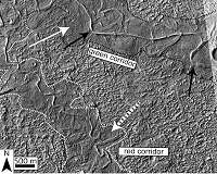 More evidence of water on Mars