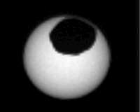 Curiosity Captured Two Solar Eclipses on Mars