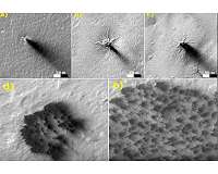 Small Troughs Growing on Mars May Become 'Spiders'