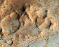 Mars Express keeps watch on frosty Martian valleys