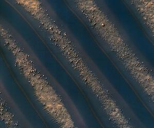 Dune Symmetry Inside Martian Crater