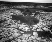 Rain Showers On Mars