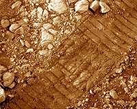 UCF selling experimental Martian dirt - $20 a kilogram, plus shipping