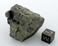 Traces of possible Martian biological activity inside a meteorite