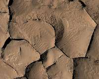 Similar-Looking Ridges on Mars Have Diverse Origins