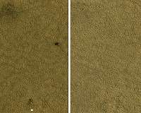 Nearly a Decade After Mars Phoenix Landed, Another Look