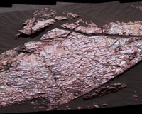 Mars Rover Curiosity Examines Possible Mud Cracks