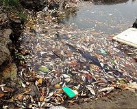 Vietnam to punish officials over mass fish deaths