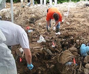 Searching for Clandestine Graves with Geophysical Tools