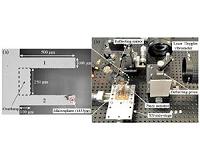 Measuring the mass of molecules on the nano-scale