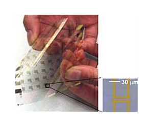 Flexible electronics hold promise for consumer applications