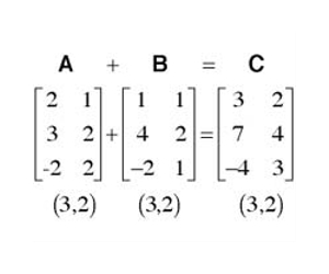 Maths experts question key ecological theory