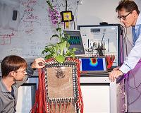 Researchers image roots in the ground