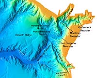 Taking An Oceanic Pulse