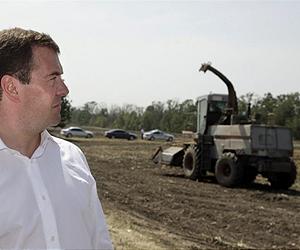 Medvedev hints at end to Russia grain export ban