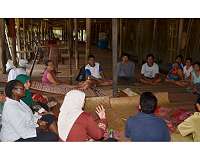 Cash payments prompt tropical forest users to harvest less