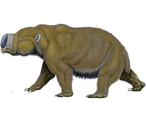 Climate, humans share blame for megafauna demise