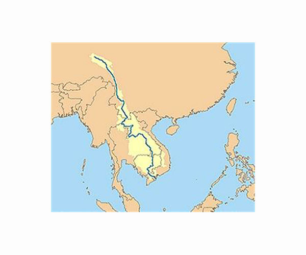 More than 200 new species found in Mekong region: WWF