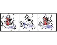The Eurasian continent remembers and amplifies cold waves as the Arctic warms