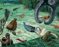 Jumping genes shed light on how advanced life may have emerged
