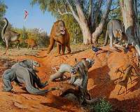 Humans, not climate change, wiped out Australian megafauna