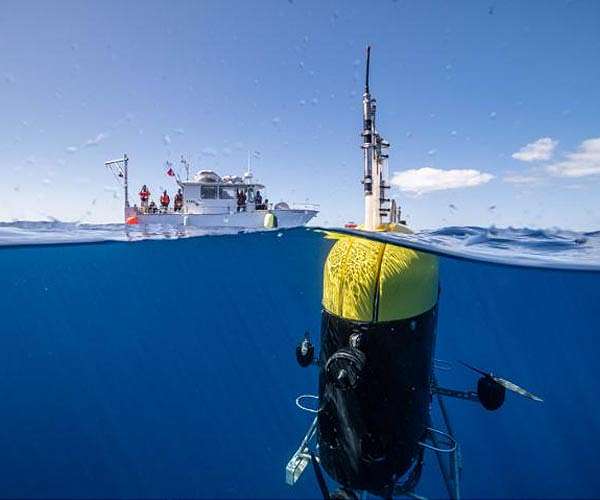 Underwater robot offers new insight into mid-ocean twilight zone