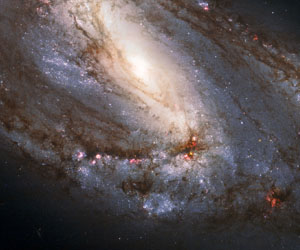 VST looks at the Leo Triplet