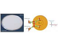 Magnetic mirror could shed new light on gravitational waves