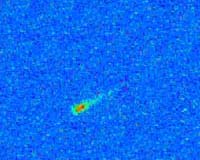 We may all be space aliens: study