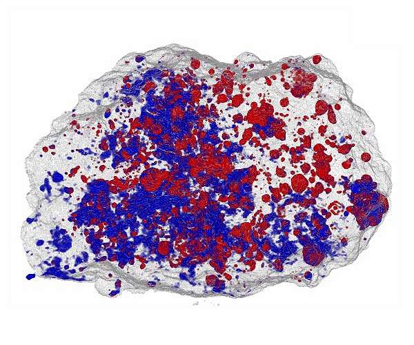 The mystery of how Earth acquired its water