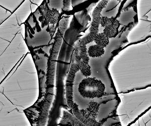 Rare Meteorites Reveal Mars Collision Caused Water Flow