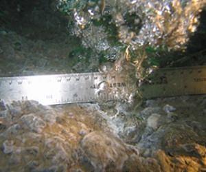 Earthquakes trigger undersea methane reservoirs: study
