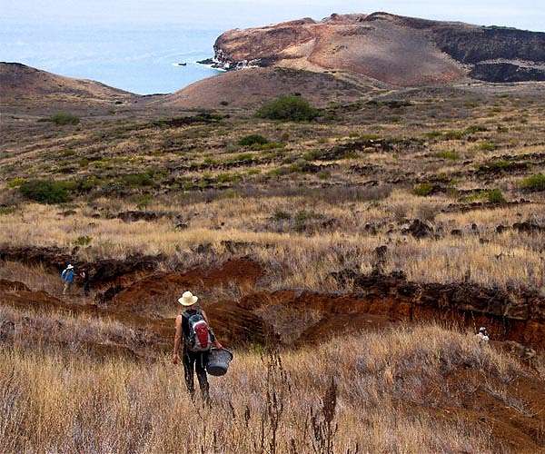 Scientists scour 'Mexico's Galapagos' for quake, volcano clues