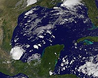U.S. sells acreage off Texas coast to energy companies