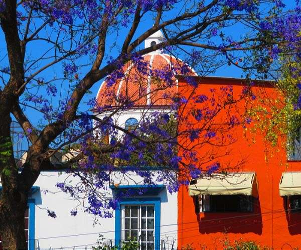 Mexico encourages citizens to drop off firearms at churches