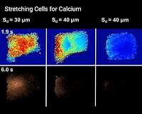 A safer route to ultrasonic therapy
