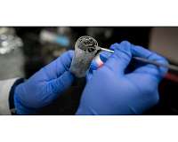 Examining the lifestyles of microbes
