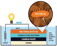Building a better microbial fuel cell - using paper