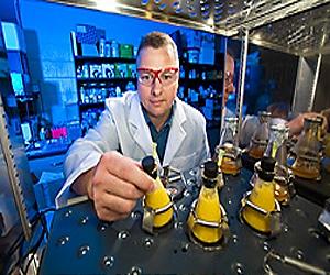 Expanding Options And Identifying Obstacles Of Cellulosic Ethanol
