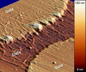 NIST uncovers reliability issues for carbon nanotubes in future electronics