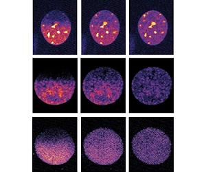 Intelligent Microscopy Uses Advanced AI Software