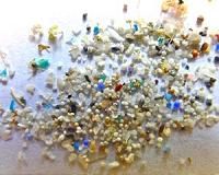 Microplastics found deep in sand where turtles nest