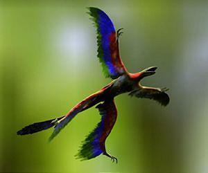 Some dinosaurs said to possess sufficient brain power for flight