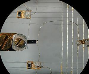 Electron politics: Physicists probe organization at the quantum level