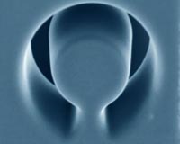 Miniaturizable magnetic resonance