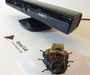 Researchers Use Video Game Tech to Steer Roaches on Autopilot