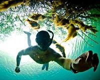 Coral reefs could be more vulnerable to coastal development than predicted