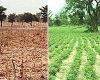 NASA Researchers Find Satellite Data Can Warn Of Famine